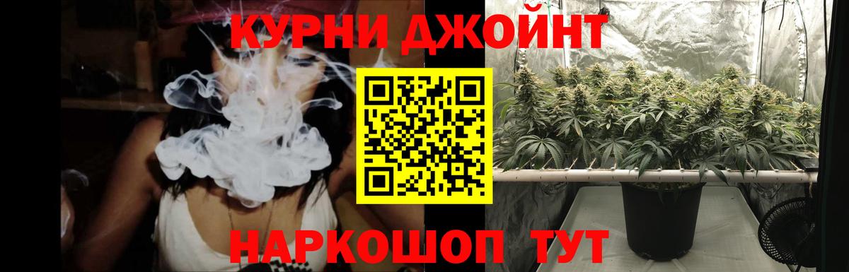 Бошки марихуана индика Чита